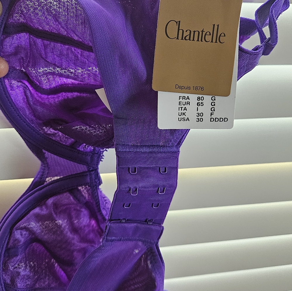 New with tags Chantelle bras size 30G or 30dddd usa. 2 bra $20